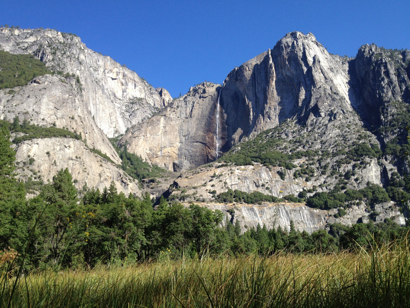 Illustration for article titled Holy Hell, the Pictures the iPhone 4S Can Take Are Insane